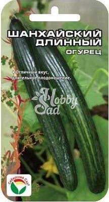 Огурец Шанхайский длинный (10шт) Сибирский Сад