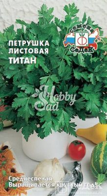 Петрушка Титан листовая (2 г) Седек