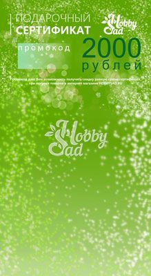 Подарочный сертификат ХоббиСад на 2 000 рублей