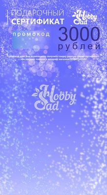 Подарочный сертификат ХоббиСад на 3 000 рублей