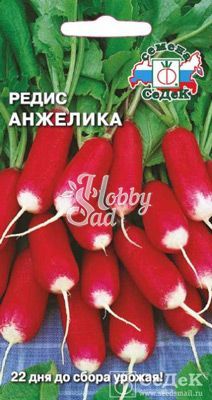 Редис Анжелика (2 г) Седек