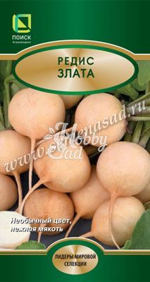 Редис Злата (3 гр) Поиск