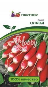 Редис Слава (2 г) Партнер