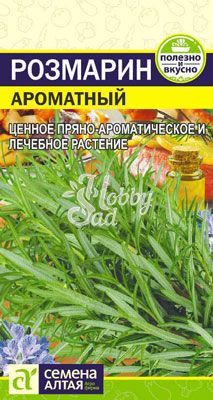 Розмарин Ароматный (0,03 гр) Семена Алтая