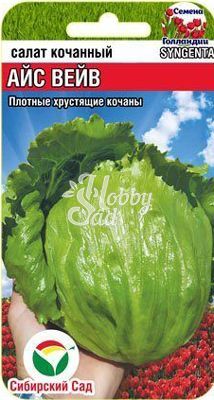 Салат Айс Вейв (10 шт) Сибирский Сад