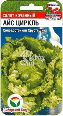 Салат Айс Циркль (15 шт) Сибирский Сад