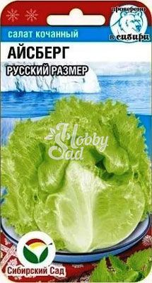 Салат Айсберг Русский Размер (0,5 гр) Сибирский Сад