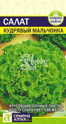 Салат Кудрявый Мальчонка (0,5 гр) Семена Алтая