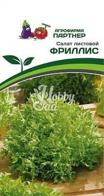 Салат Фриллис листовой (15 шт) Партнер