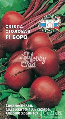 Свекла Боро F1 столовая (50 шт) Седек 