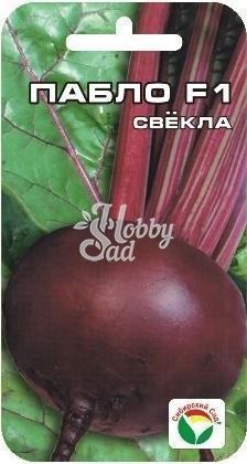 Свекла Пабло F1 (1 г) Сибирский Сад