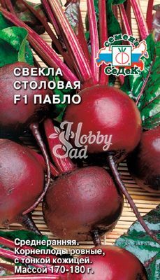 Свекла Пабло F1 столовая (0,5 г) Седек