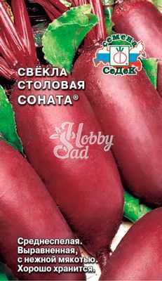 Свекла Соната столовая (3 г) Седек