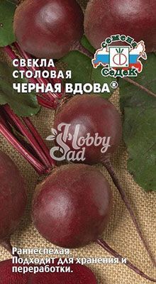Свекла Черная Вдова (3 г) Седек