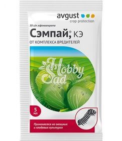 Сэмпай (5 мл) Август