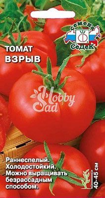 Томат Взрыв (0,1 г) Седек