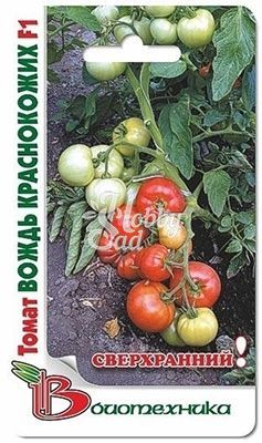 Томат Вождь краснокожих (15 шт)  Биотехника