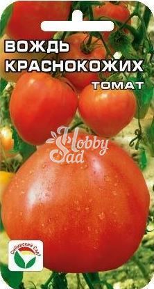 Томат Вождь краснокожих (20 шт) Сибирский Сад