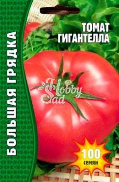 Томат Гигантелла (100 шт) ЭКЗОТИКА