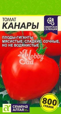 Томат Канары (0,05 г) Семена Алтая Сибирская Селекция!