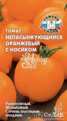 Томат Непасынкующийся Оранжевый с носиком (0,1 г) Седек