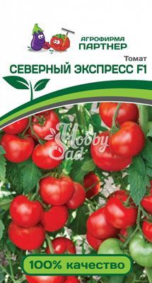 Томат Северный Экспресс F1 (2-ной пак.) (0,05 г) Партнер