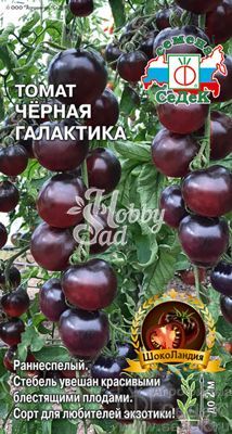 Томат Черная Галактика (0,05 г) Седек