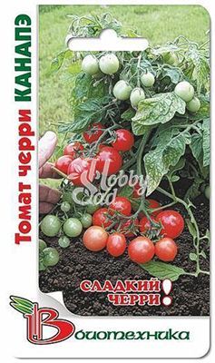 Томат Черри Канапэ (20 шт) Биотехника