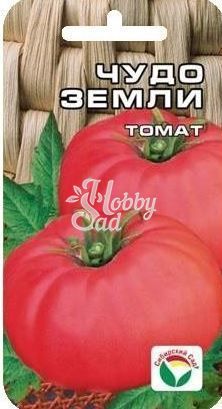 Томат Чудо земли (20 шт) Сибирский Сад