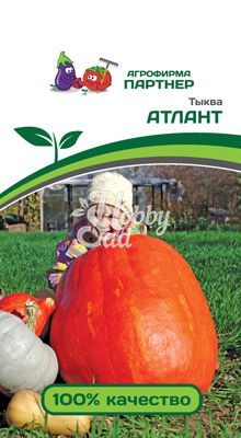 Тыква Атлант (10 шт) Партнер