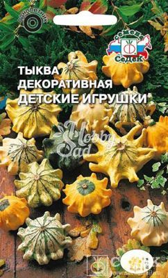 Тыква Детские игрушки декоративная (0,25 г) Седек