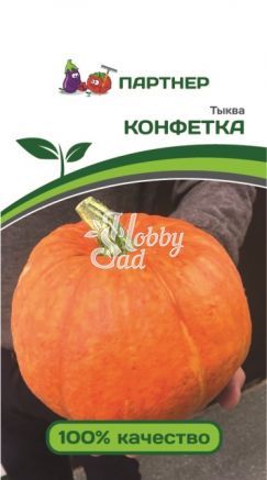 Тыква Конфетка (5 шт) Партнер