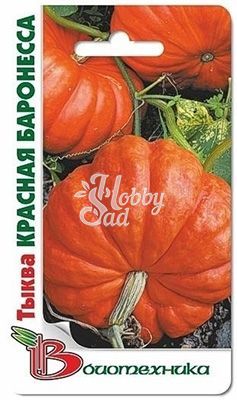 Тыква Красная Баронесса (4 шт) Биотехника