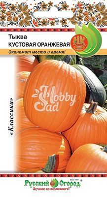 Тыква Кустовая оранжевая  (2 г) Русский Огород
