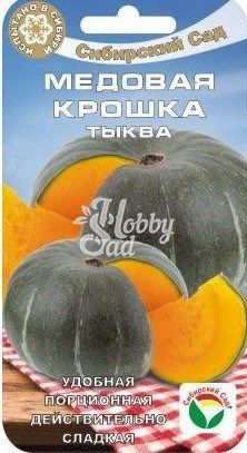 Тыква Медовая крошка (5 шт) Сибирский Сад