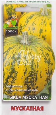 Тыква Мускатная (10 шт) Поиск