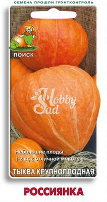 Тыква Россиянка крупноплодная (10 шт) Поиск