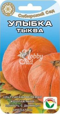 Тыква Улыбка (5 шт) Сибирский Сад