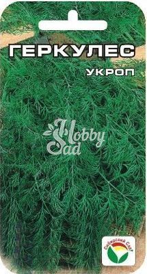 Укроп Геркулес (2 г) Сибирский Сад