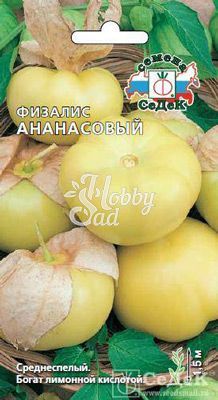 Физалис Ананасовый  (0,1 г) Седек