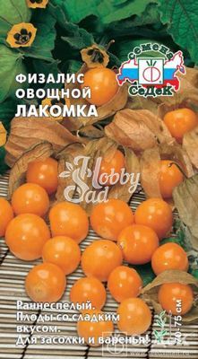 Физалис Лакомка овощной (0,1 г) Седек