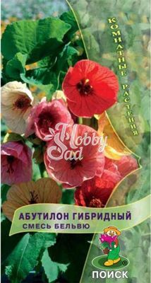 Цветы Абутилон Смесь Бельвю гибридный (0,1 гр) Поиск Комнатные