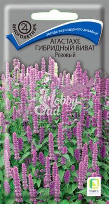 Цветы Агастахе Виват розовый гибридный (10 шт) Поиск