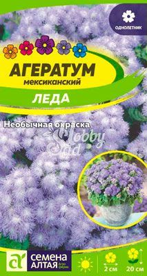 Цветы Агератум Леда (0,1 г) Семена Алтая