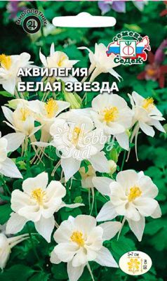 Цветы Аквилегия Белая Звезда  (0,1 г) Седек