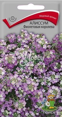 Цветы Алиссум Фиолетовая королева (0,3 г) Поиск