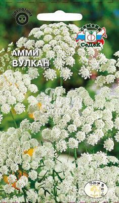 Цветы Амми Вулкан (0,1 г) Седек
