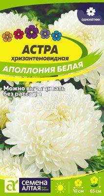 Цветы Астра Аполлония Белая хризантемовидная (0,2 гр) Семена Алтая
