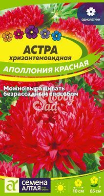 Цветы Астра Аполлония Красная хризантемовидная (0,2 гр) Семена Алтая
