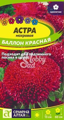 Цветы Астра Баллон Красная махровая (0,05 гр) Семена Алтая